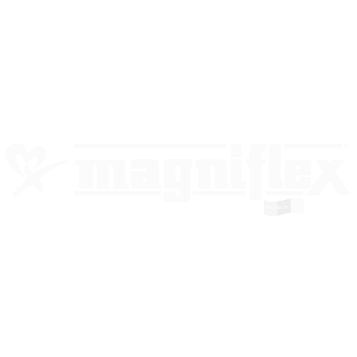 Magniflex-Logo-webseite